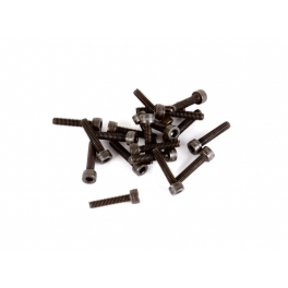 VBC M2.5x12mm Cap Head Screw