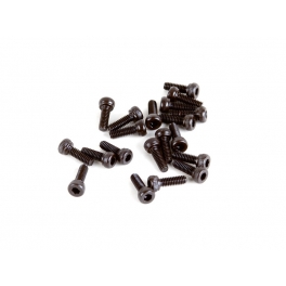 VBC M2.0x8mm Cap Head Screw