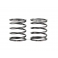 SMJ Stealth Line Spring TS2.9 (Short/2pcs)