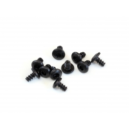 Destiny Tornillos M2x3,5 de Cabeza Redonda Aplanada, 10pcs