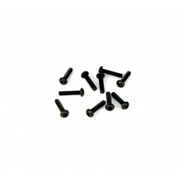 Destiny M3x14 Roundhead Screw, 10 pcs