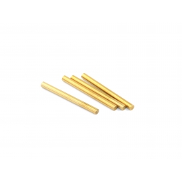 Destiny Outer Suspension Arm Pin (2x23mm)