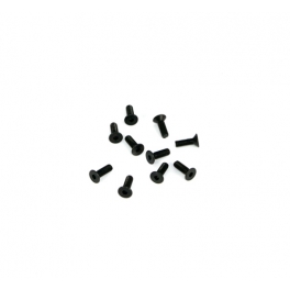 Destiny M2.5x8 Flathead Screw, 10 pcs