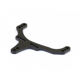Roche Rapide P12-2017 Placa Superior de Carbono