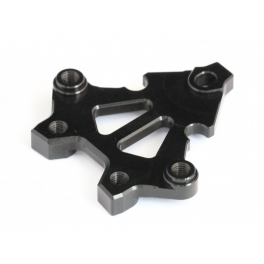 Roche Rapide P10 Steering Mount