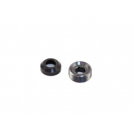 Roche Rapide Pivot Brace Washer & Nut