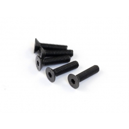Roche M4x16mm Flathead Screw, 5 pcs