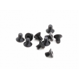 Roche Tornillos M2,5x4mm de Cabeza Plana, 10 pcs
