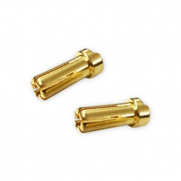 MR33 Conectores 5mm Perfil Bajo
