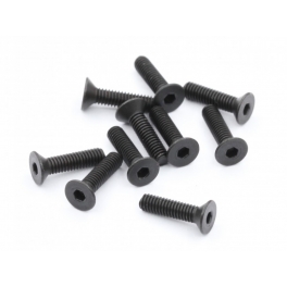 Roche Tornillos M2.5x10mm cabeza plana, 10pcs