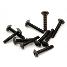VBC M2x10 Roundhead Screw
